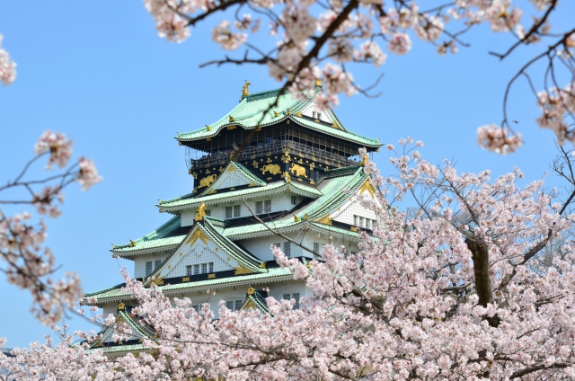 大阪城天守閣と桜